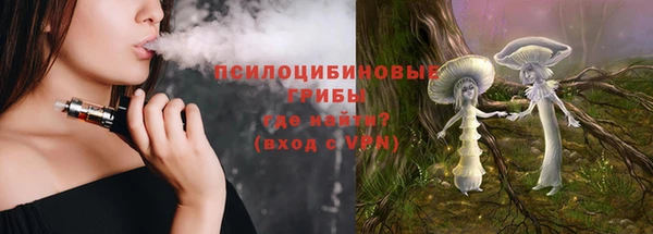 индика Верхний Тагил