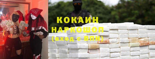 индика Верхний Тагил