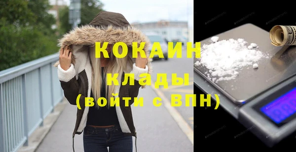 индика Верея