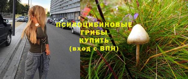 индика Верхний Тагил