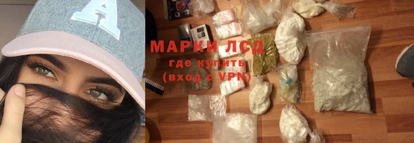 индика Верея