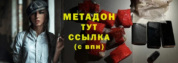 индика Верхний Тагил