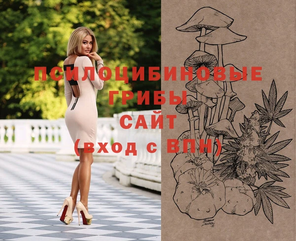 индика Верхний Тагил