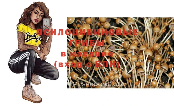 индика Верея