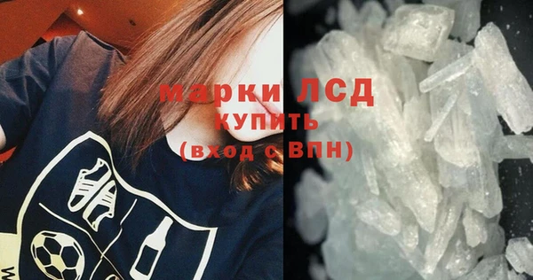 индика Верхний Тагил