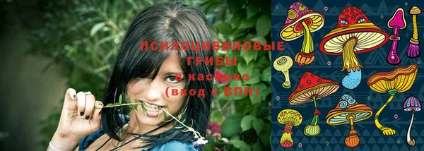 индика Верея