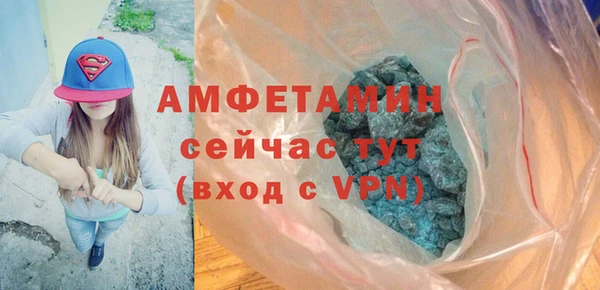 индика Верея