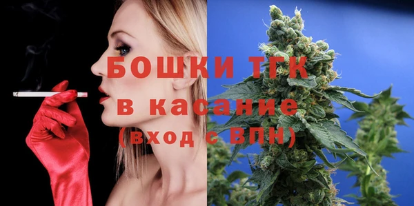 индика Верея