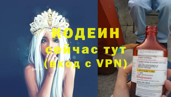 индика Верея