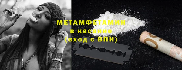 индика Верхний Тагил