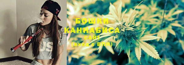 индика Верея